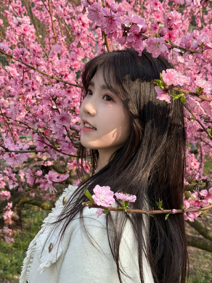 蜘蛛池访问异常的识别与响应策略