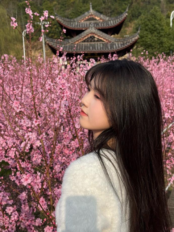 网站降权后，蜘蛛池还能用吗？