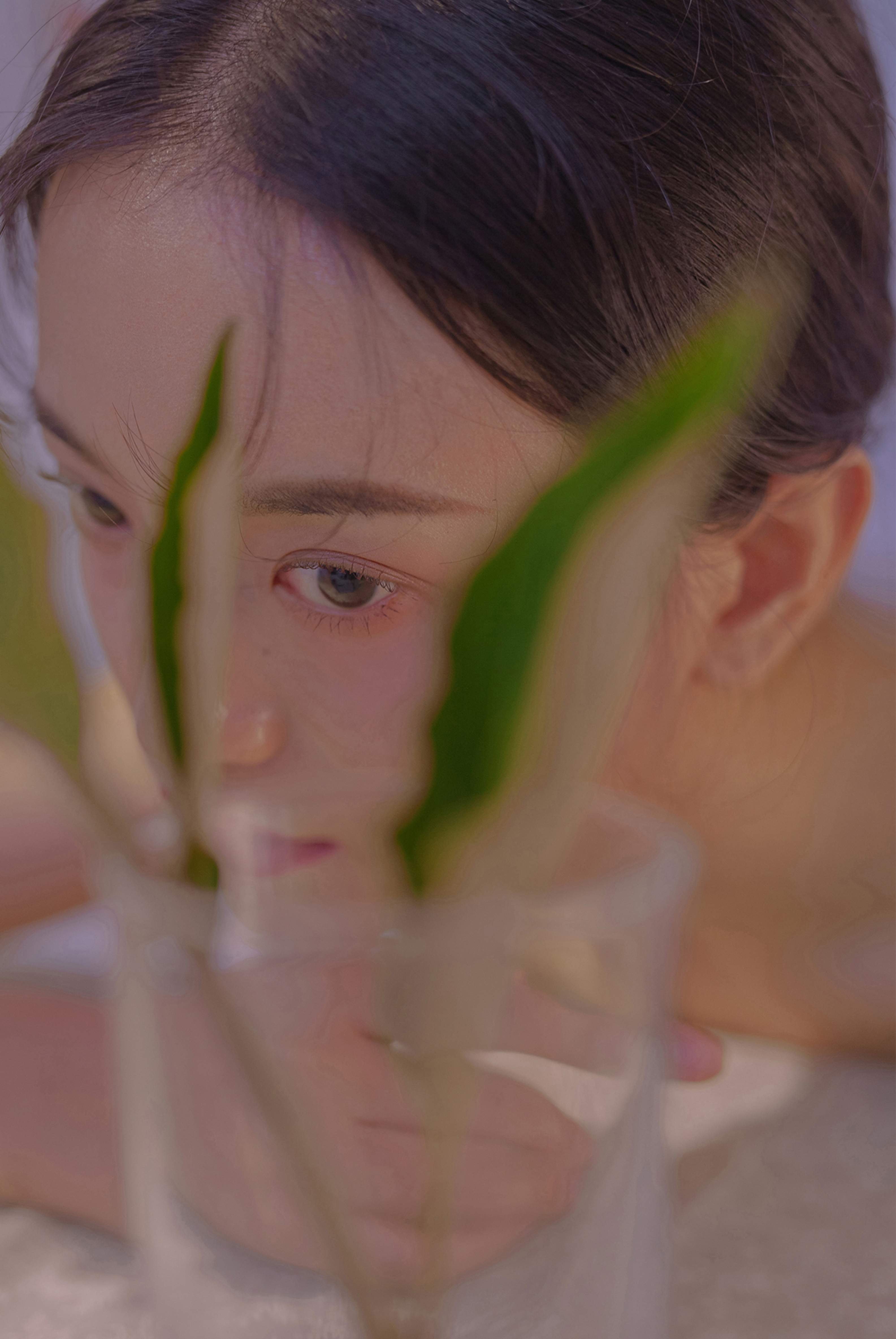 蜘蛛池中的IP地址轮换策略