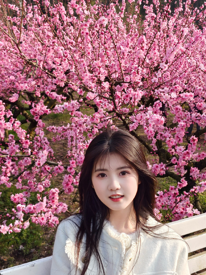 蜘蛛池能否提升长尾词页面的抓取频率