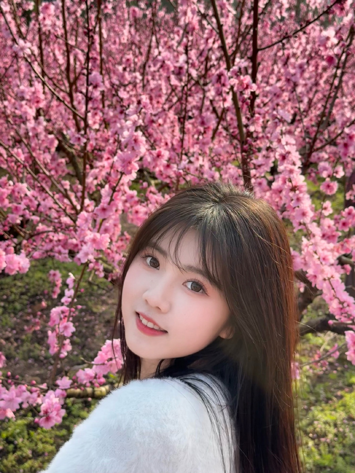 蜘蛛池是否能配合低频爬虫同步策略