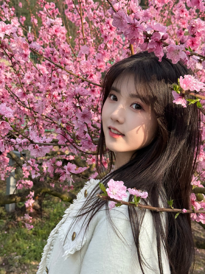 如何用蜘蛛池推送页面结构变更？