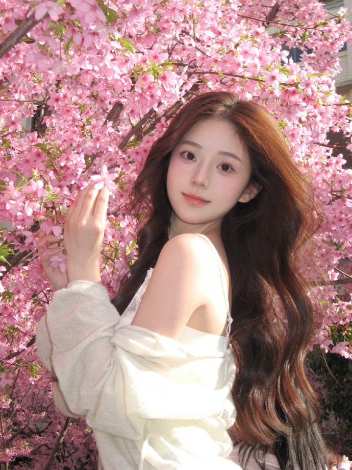 蜘蛛池对SEO黑帽技术的风险分析