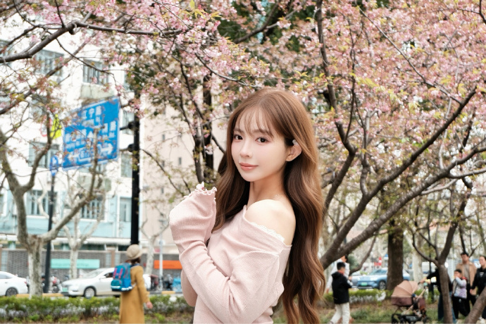 蜘蛛池在泛解析中的实战价值