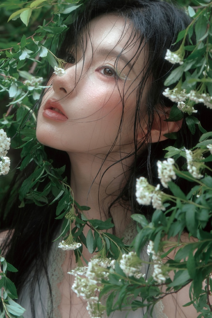 蜘蛛池对SEO黑帽技术的风险分析